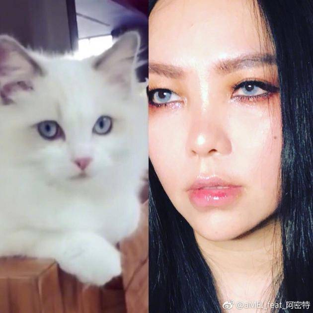 张惠妹晒撞脸猫咪照 自侃：是同个化妆师吗